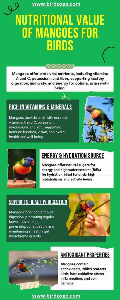 An infographic explaining the nutritional benefit of mangoes for birds.