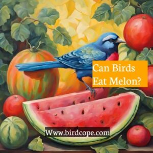 Can Birds Eat Melon?